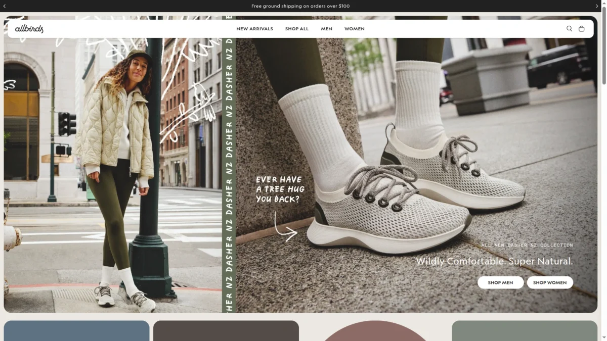 allbirds